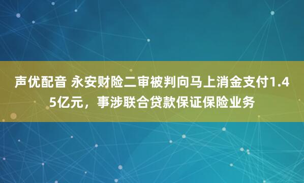 声优配音 永安财险二审被判向马上消金支付1.45亿元，事涉联合贷款保证保险业务