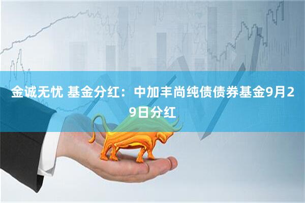 金诚无忧 基金分红：中加丰尚纯债债券基金9月29日分红