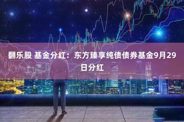 翻乐股 基金分红：东方臻享纯债债券基金9月29日分红