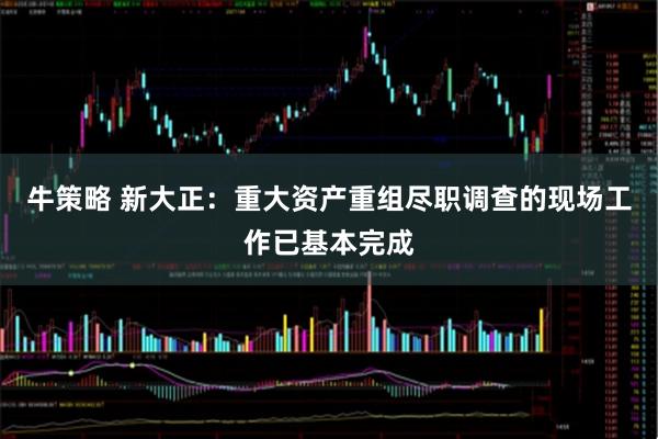 牛策略 新大正：重大资产重组尽职调查的现场工作已基本完成