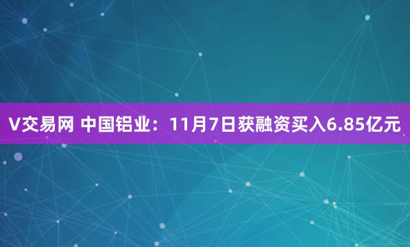 V交易网 中国铝业:11月7日获融资买入6.85亿元