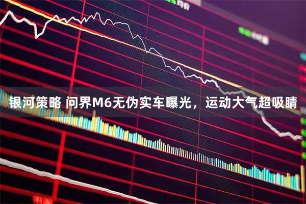 银河策略 问界M6无伪实车曝光，运动大气超吸睛